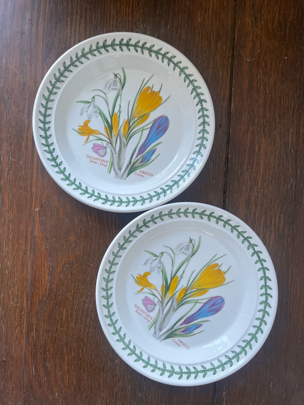 Portmeirion botanical garden, snow drop crocus small plate set